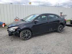 Salvage cars for sale at Albany, NY auction: 2014 Toyota Corolla L