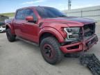 2017 Ford F150 Raptor