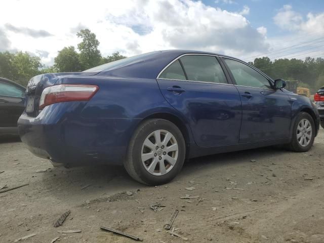 2008 Toyota Camry Hybrid