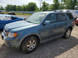 Buy Salvage Cars For Sale now at auction: 2011 Ford Escape Limited