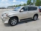 2011 Lexus GX 460 Premium