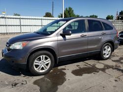 Honda salvage cars for sale: 2010 Honda CR-V EXL