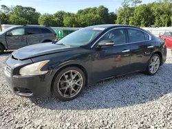 Salvage cars for sale at Augusta, GA auction: 2009 Nissan Maxima S