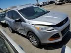 2013 Ford Escape S