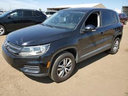 Salvage cars for sale at Brighton, CO auction: 2013 Volkswagen Tiguan S