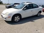 2002 Dodge Neon