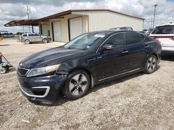 Salvage cars for sale at Temple, TX auction: 2013 KIA Optima Hybrid