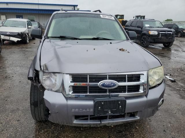 2008 Ford Escape XLT