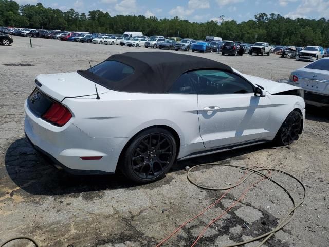 2019 Ford Mustang