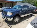 2006 Ford F150