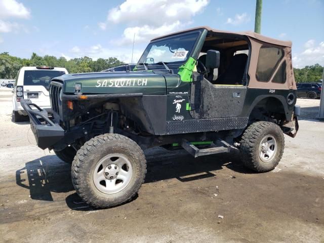 1998 Jeep Wrangler / TJ Sport