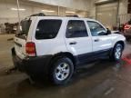 2007 Ford Escape XLT