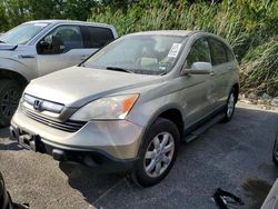 Salvage cars for sale at Bridgeton, MO auction: 2008 Honda CR-V EXL