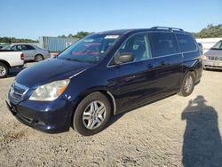 Salvage cars for sale from Copart Anderson, CA: 2006 Honda Odyssey EX