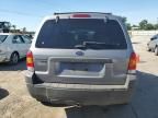 2007 Ford Escape XLT