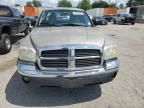 2005 Dodge Dakota SLT