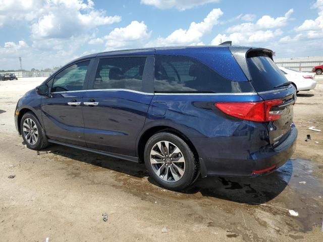 2024 Honda Odyssey EXL