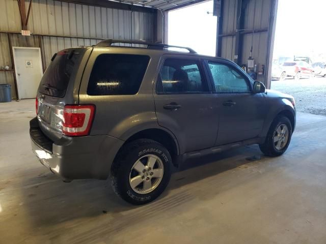 2009 Ford Escape XLT