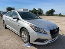 Hyundai Sonata Hybrid salvage cars for sale: 2016 Hyundai Sonata Hybrid