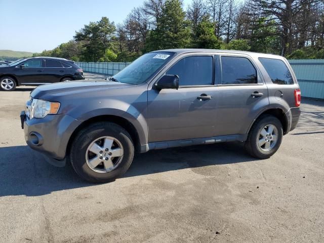 2011 Ford Escape XLS