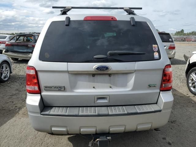 2012 Ford Escape XLT