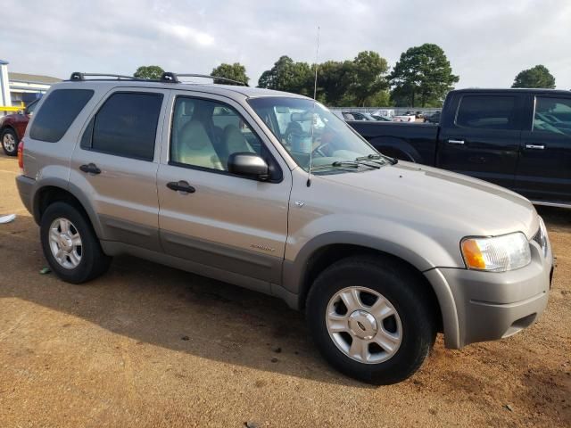 2001 Ford Escape XLT