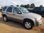 2001 Ford Escape XLT