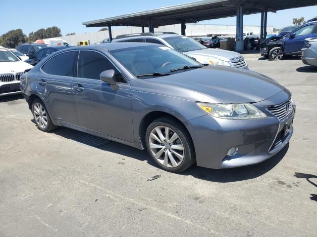 2013 Lexus ES 300H