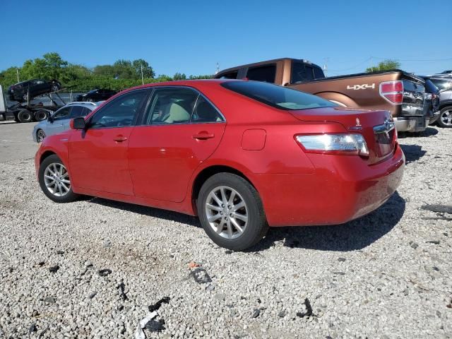 2011 Toyota Camry Hybrid