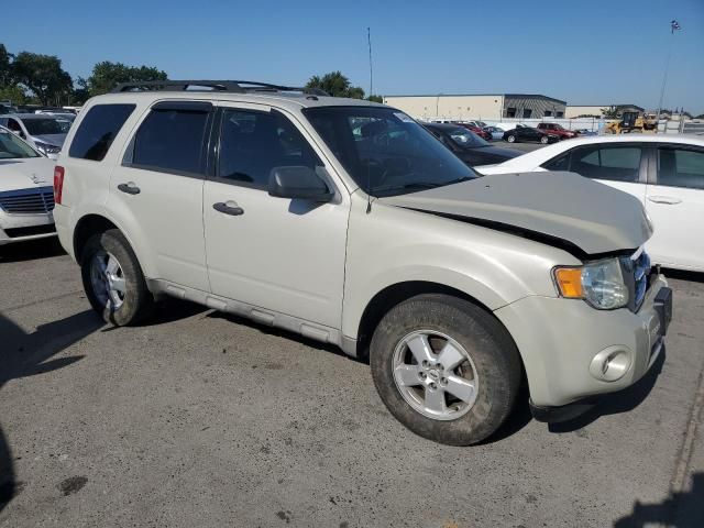 2009 Ford Escape XLT