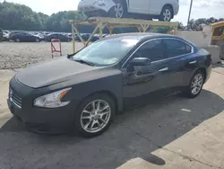 2009 Nissan Maxima S en venta en Windsor, NJ