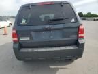 2009 Ford Escape XLS