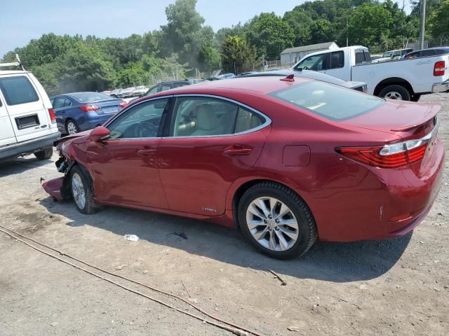 2014 Lexus ES 300H