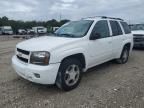 2006 Chevrolet Trailblazer LS