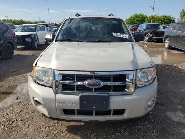 2008 Ford Escape XLT