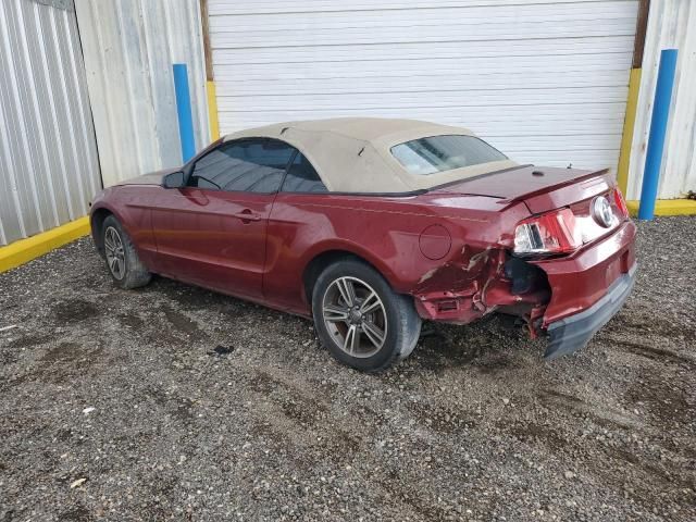 2010 Ford Mustang