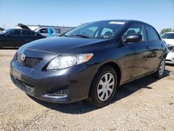 Carros salvage sin ofertas aún a la venta en subasta: 2010 Toyota Corolla Base