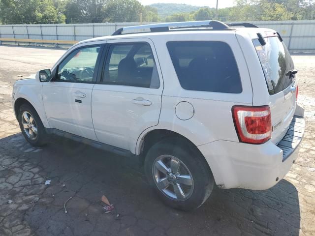 2009 Ford Escape Limited