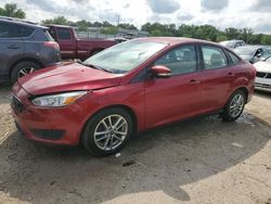 Ford salvage cars for sale: 2015 Ford Focus SE