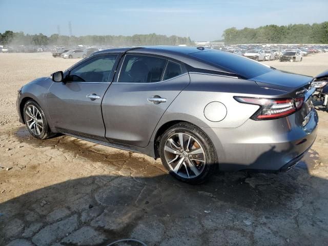 2020 Nissan Maxima SV