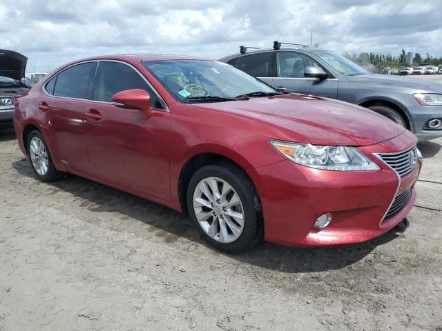 2013 Lexus ES 300H