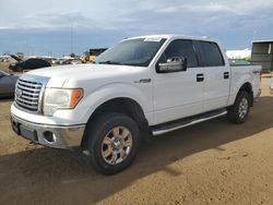 Salvage cars for sale at Brighton, CO auction: 2010 Ford F150 Supercrew