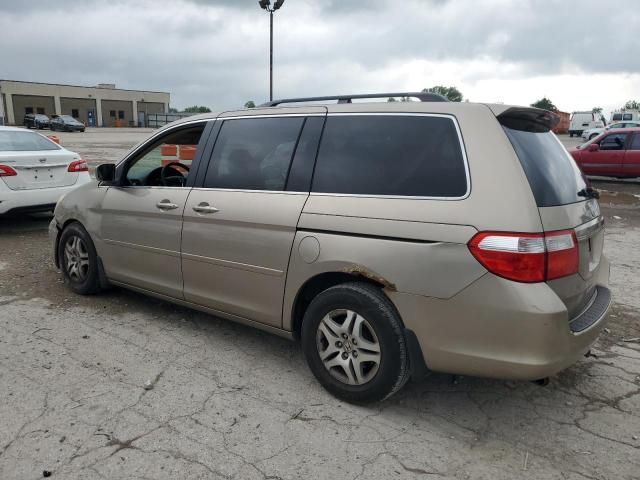 2005 Honda Odyssey EXL