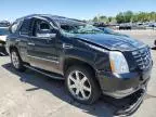 2009 Cadillac Escalade Luxury