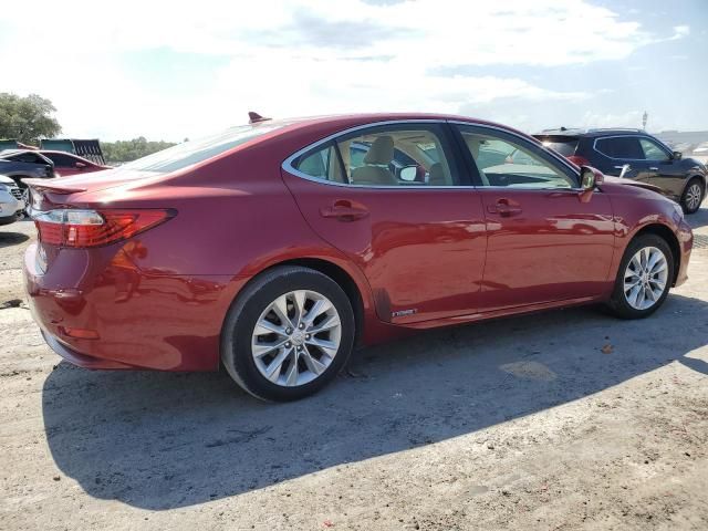 2014 Lexus ES 300H