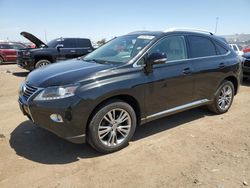 Salvage cars for sale at Brighton, CO auction: 2013 Lexus RX 450