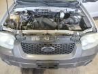 2006 Ford Escape XLT