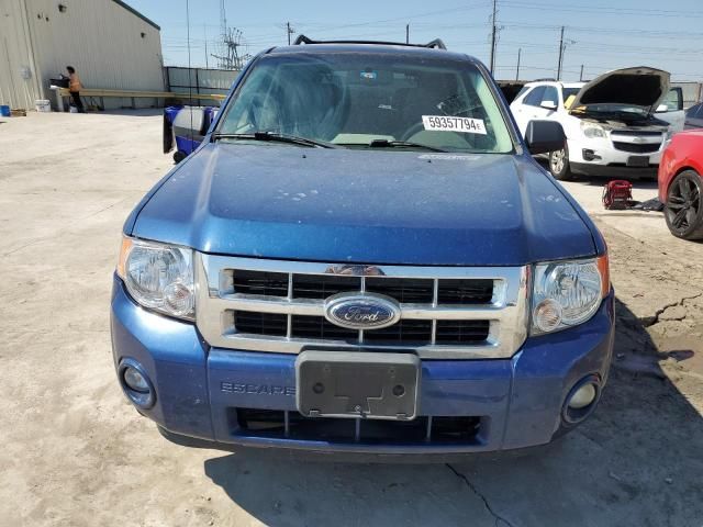 2008 Ford Escape XLT