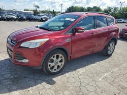 Salvage cars for sale at Lexington, KY auction: 2013 Ford Escape SEL