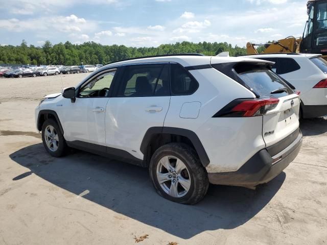 2019 Toyota Rav4 XLE